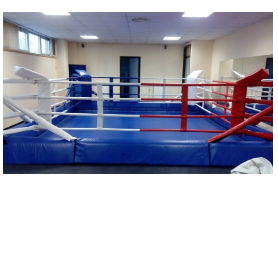 Вид сверху на боксерский ринг, изолированных на белом фоне. 3D иллюстрации.