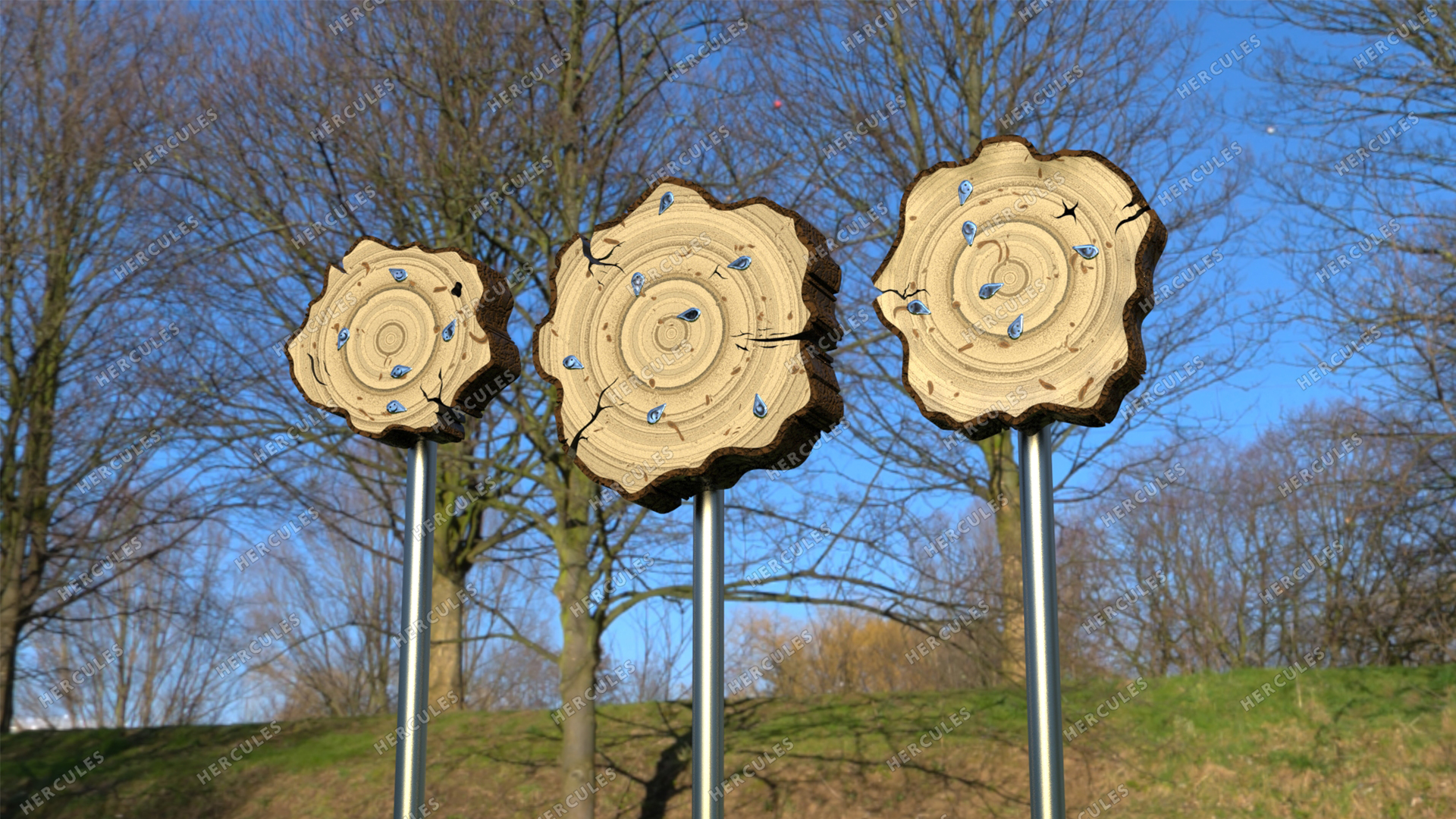 Обучающая панель Возраст дерева