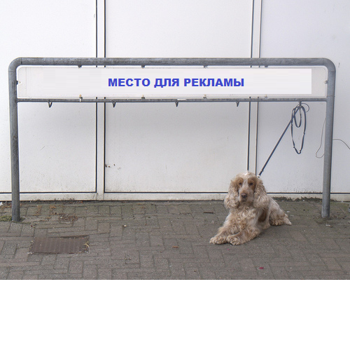 ПС-05 Рекламная парковка для собак 