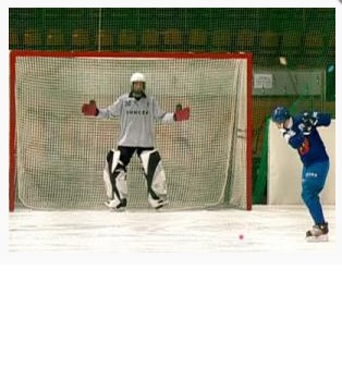 Сетка для хоккейных ворот (хоккей с мячом), размер: 2,14х3,66х0,90х1,20 м, толщина нити: 5,0 мм