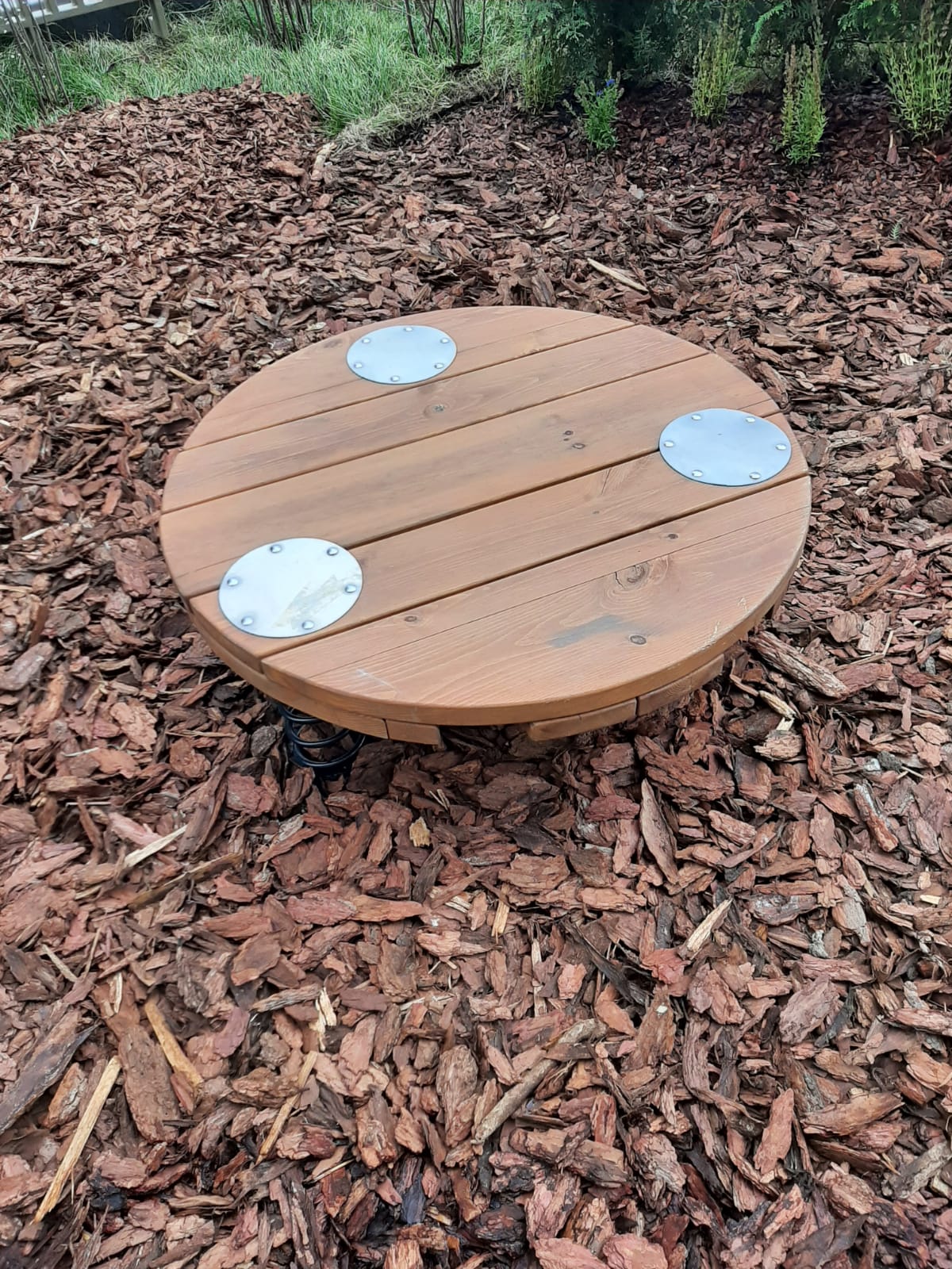 Диск-балансир