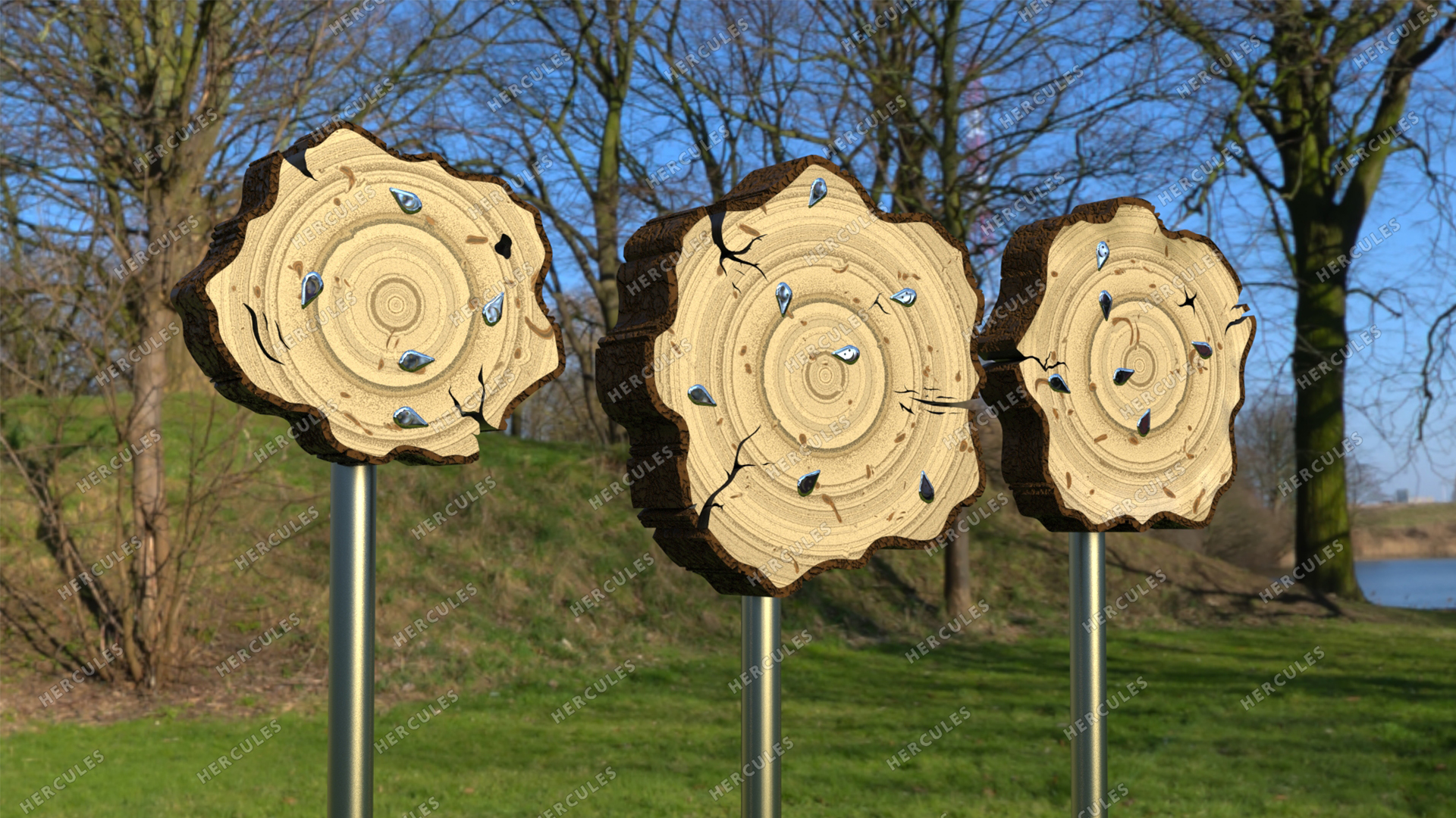 Обучающая панель Возраст дерева